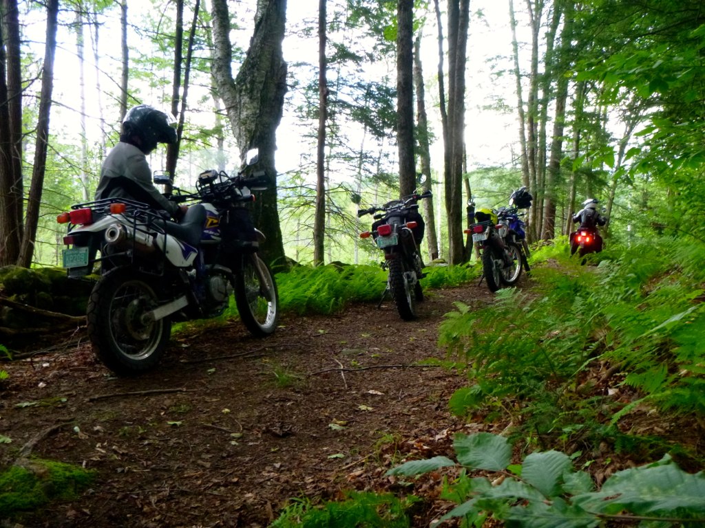 motorcycles on a trail